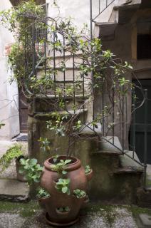 Sotto i merli - 8
