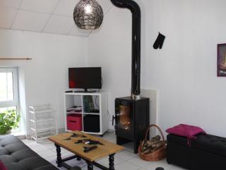 Charmant gîte rénové avec jardin, terrasse, cheminée et wifi - animaux acceptés - FR-1-489-22 - Châtel-de-Neuvre - 9