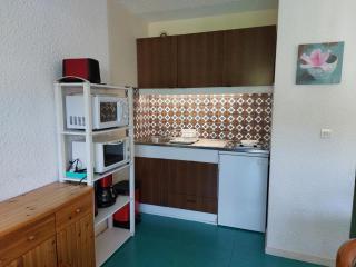 Appartement cosy à Autrans, 4 pers, balcon, skis et vélos - FR-1-737-11 - 7