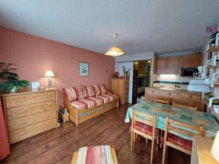 Appartement cosy au cœur d'Autrans, 100m des pistes, balcon, 28m², 4 pers, bien équipé, 2 étoiles - FR-1-737-36 - Autrans - 0