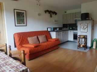 Appartement rénové avec balcon, parking et wifi, près des pistes - Méaudre - FR-1-737-6 - 9