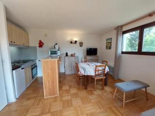 Beau duplex 6 pers, au pied des pistes avec parking - FR-1-737-21 - 7