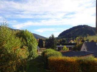 Appartement 2 pièces avec balcon à Autrans, proche village et pistes de ski, 4 pers, 32 m² - FR-1-737-50 - Autrans - 3