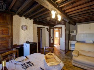 Charmante maison avec poêle et salon ombragé à Pralong - FR-1-496-261 - Pralong - 8