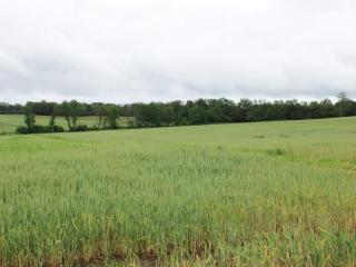 Maison au calme avec grand jardin et tout confort en Charente Limousine - FR-1-653-133 - 8