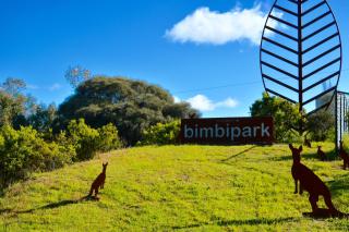 Bimbi Park - Camping Under Koalas - 3