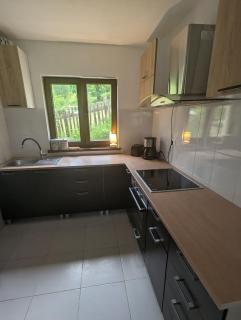 Lake House Magnolia - Buhalniţa - 3