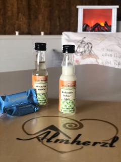 FeWo Almherzl - Hallenbad, Sauna, Panoramablick, Skifahren, renoviert - 4