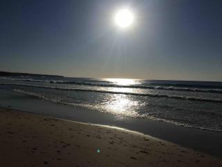 House of Hearts - Wonthaggi - 6