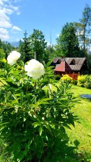Willa Pośrednia - Zakopane - 6