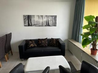 Apartment 547 - Hohegeiß - 8