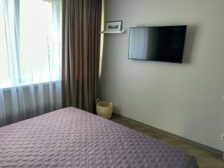 Apartment in Birstonas - Birštonas - 3