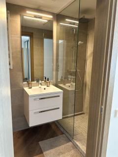 Apartment in Birstonas - Birštonas - 1