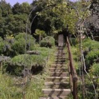 Villa Podere Antico con piscina - 4