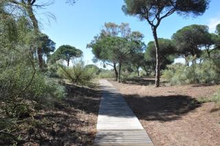 Casa Lea - Islantilla - 2