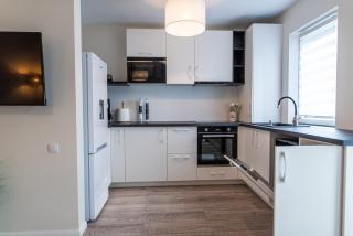 TEILOR Apartments 1 - Floreşti - 5