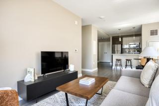 N Station 1BR w WD Gym nr TD Garden BOS-705 - 9
