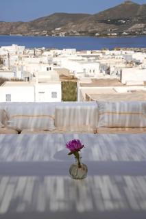 Naousa Villa with pool, garden and view - 3