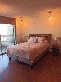 Dpto Costanera Center, Metro Los Leones 1 dorm - Santiago - 6