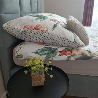 Apartament PERŁA POŁUDNIA - Suwałki - 1
