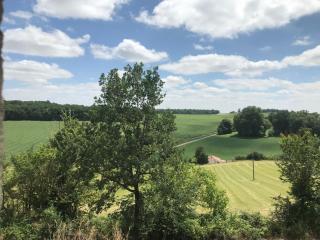 LA CAMPAGNE - Nérac - 6