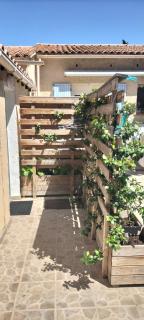Studio pour location vacances a la semaine AVIGNON - Avignone - 5