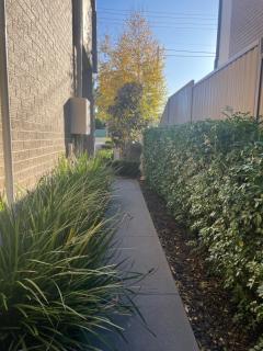 -The Garden Room - with Private Entrance & Private Bathroom - Wentworthville - 6