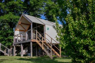 Herbals - Tree&Lake houses with bath, sauna, bikes, motorboat - Mielno - 4