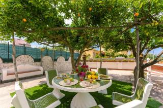 Le Jardin - 3