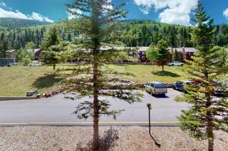 Brown Bear Lodge #322 - 2