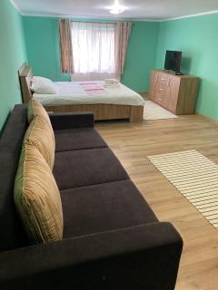 Casa Fabian etaj - Moisei - 4