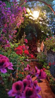 The Secret Garden Maratea - Casa di Elena - Maratea - 7