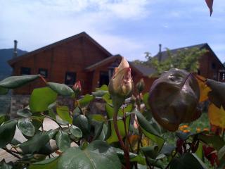 Pasithea Mountain Chalet - Feneos - 7