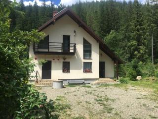 Guest house Alyaska - Bukovel - 8