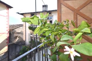 Il Drago al Roseto del Drago - 2