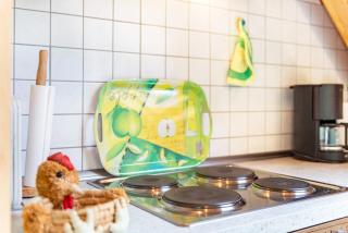 Beutenmühle Straussenfarm Dach - Owingen - 2