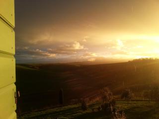 Casa delle rondini - Carignano - 5