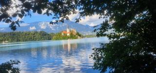 Apartma Panorama - Bled - 6