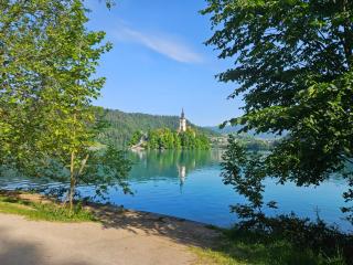 Apartma Panorama - Bled - 7