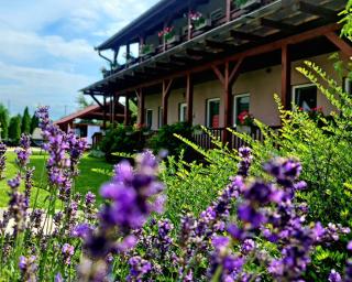Sweet Life Wellness Apartments - Egerszalók - 3