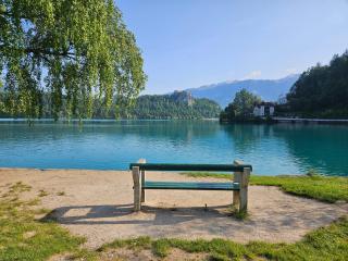 Apartma Panorama - Bled - 8