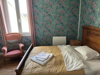 Central village house in Bussiere Poitevine - 2