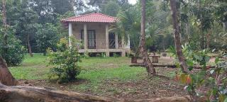 Tu Casa en la Selva Lacandona - Champa - 3