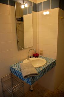 Caribbean Flower Apartments - Willemstad - 1