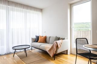 Meadows Apartments Klínovec - Loučná pod Klínovcem - 4