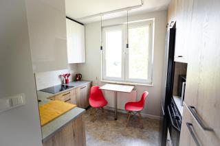 Sowi Loft - Hajnówka - 4