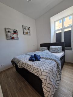 Apartment CITY Ostrava - 5