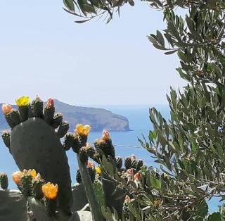 La Strettoia - Caprioli - 0