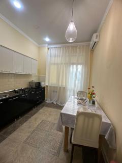2 Комнатные апартаменты ЖК JAIYK RIVERSIDE на берегу Урала - Atyrau - 9