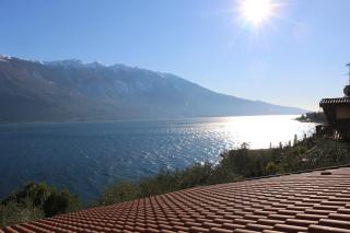 La Casa sul Lago Apartments - Olive Tree Apartment - 9